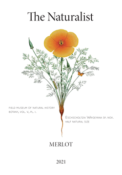 2021 Merlot